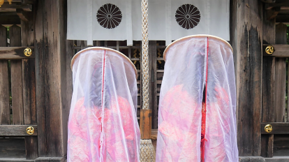 歩ける世界遺産・熊野古道トレッキング＆熊野三山を巡る旅。～後編～