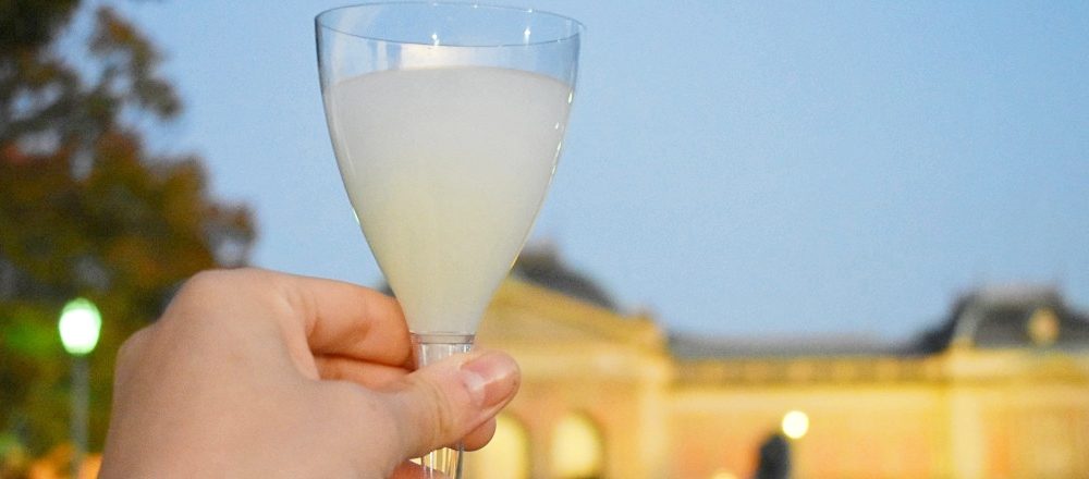 11月16・17・23・24の4日間限定!〈京都国立博物館〉屋外庭園で特別イベント開催。