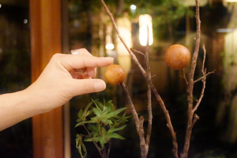 枝に刺されたブーダンの実を摘んで食べる。食べ方も斬新。 DSC_0043