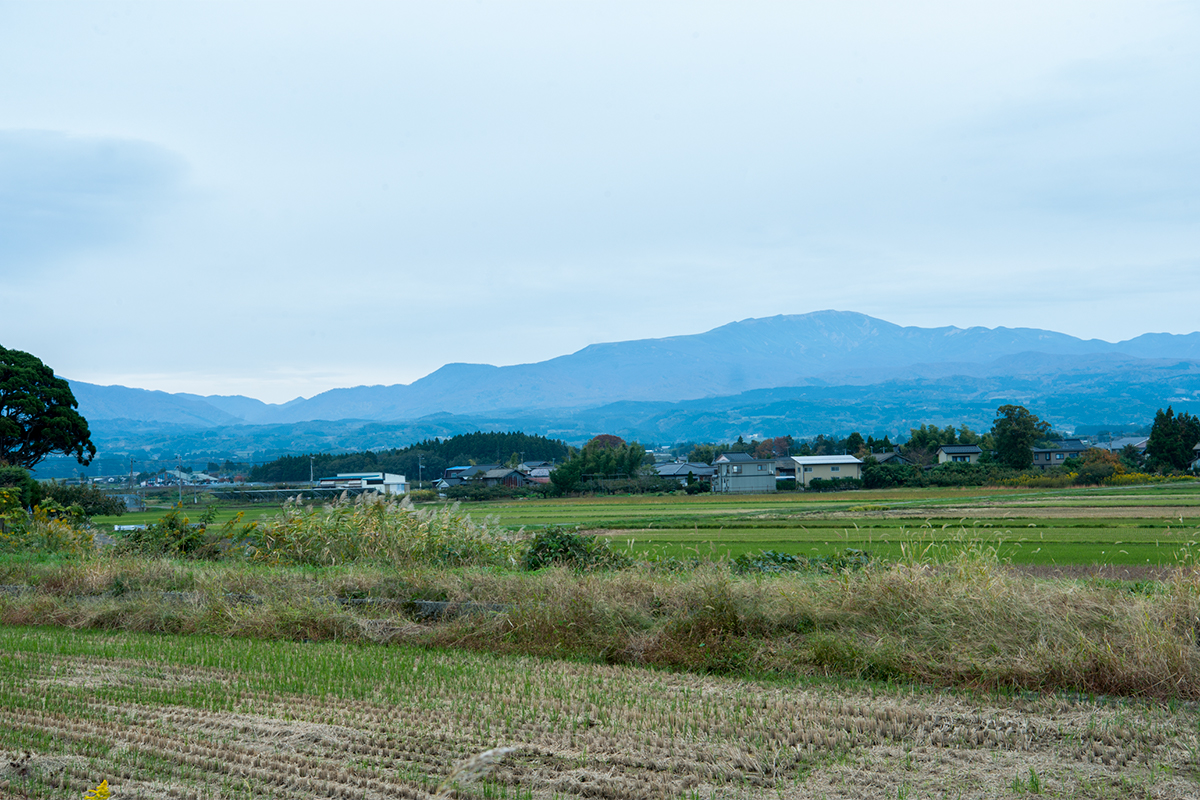 農家を営む五十嵐大輔さんの柿畑から車で〈manoma〉へ向かう道すがら、見える月山。鶴岡のランドマーク。