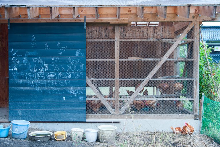 平飼い卵も生産。 008