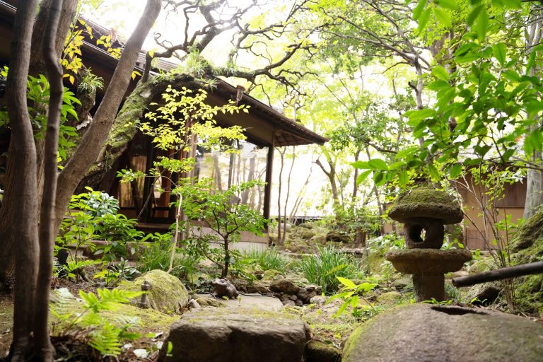 〈和多伴〉の創業時から丁寧に手入れされてきた日本庭園。 ④