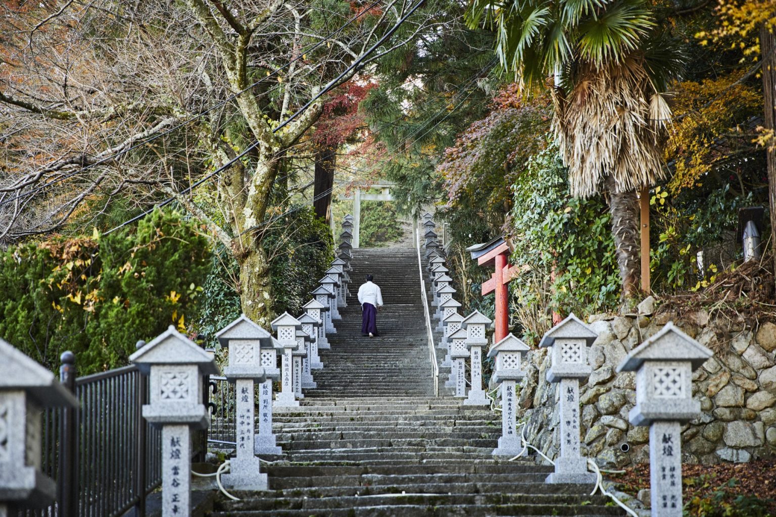 兵庫　湯泉神社
