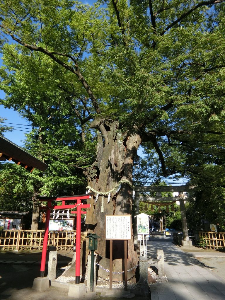 新田神社 東京 新田神社 東京