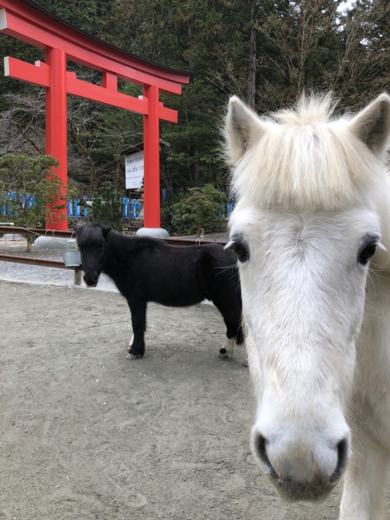 丹生川上神社下社 奈良 丹生川上神社下社 奈良