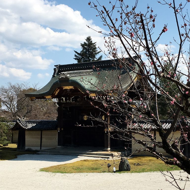 旧嵯峨御所 大本山 大覚寺 嵯峨野 旧嵯峨御所 大本山 大覚寺 嵯峨野