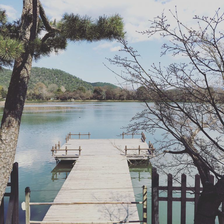 旧嵯峨御所 大本山 大覚寺 嵯峨野 旧嵯峨御所 大本山 大覚寺 嵯峨野