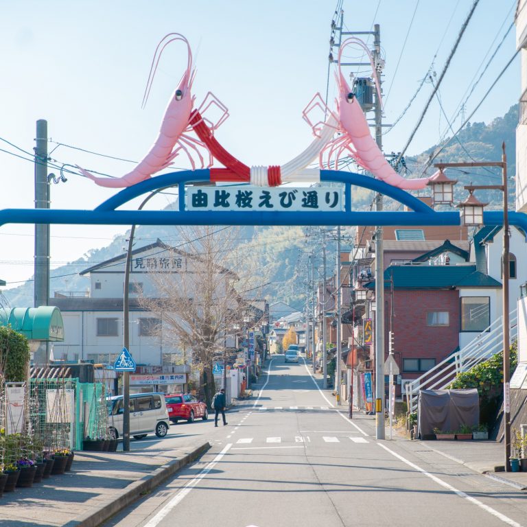 #由比桜えび通り #海老門 静岡 由比桜えび通り