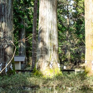 東京から行きやすいパワースポット！関東屈指の名神社仏閣4軒  Travel 