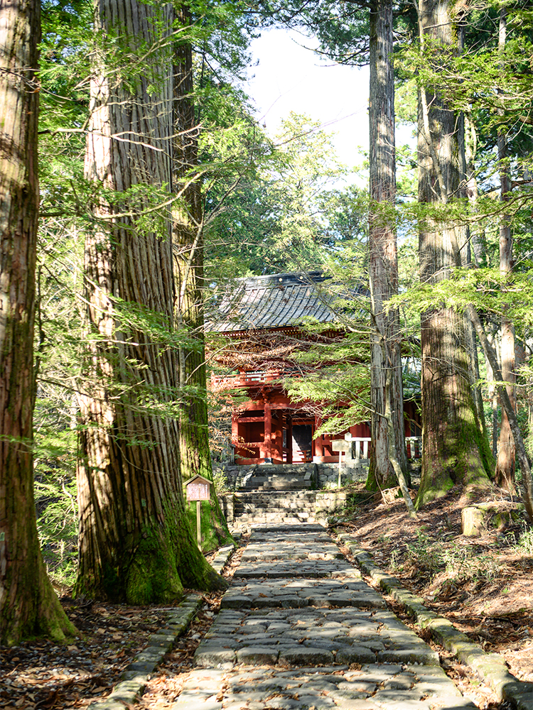 瀧尾神社のご神域。年月を経た石畳の参道の両脇には、杉の巨木が連なる。アップダウンの激しい参道を進み、運試しの鳥居をくぐると、やがて朱塗りの楼門が見えてくる。