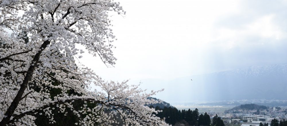 紅花の町・山形県白鷹町で森林体験や深山焼の工房見学ツアーを実施。