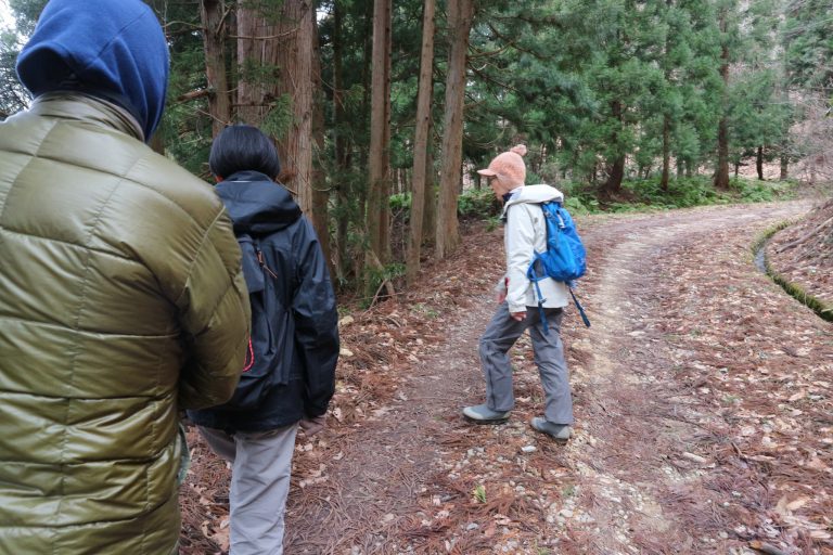 解説を聞きながら森の中を進んでいきます。空気がおいしい! 山形県 白鷹町広域まちづくり協議会