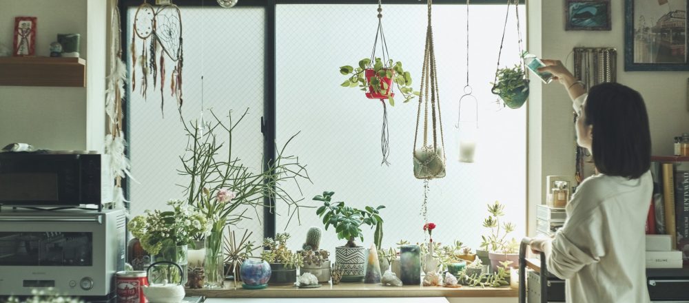 頑張らなくてもいい“植物のある暮らし”。編集者・荒川由貴子さんのグリーンで溢れる部屋の作り方。