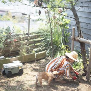 休日は愛犬のコスケと一緒に庭作業。