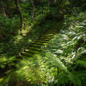 鎌倉 心をリフレッシュできる神社 お寺5選 四季折々の花や鎌倉の海に癒されて Magazine Hanako Tokyo