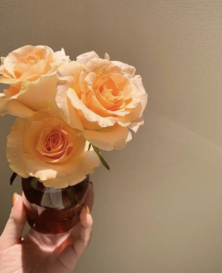 また、週1でお花を買ってお部屋をアップデート中。気分に合わせて、可愛い色のお花を選んで楽しんでいます。﻿
写真はパリジェンヌというバラの一種。絶妙なピンクベージュ色味に一目惚れして即買いだったそう！﻿
﻿
観葉植物と一緒に太陽に当たって運気をあげましょう！﻿　■Instagram：@kumaidoharuka ﻿