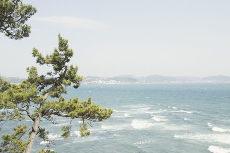 海を見下ろせる稲村ヶ崎公園はローカルにも人気。松と海越しの江の島などもかっこいい。