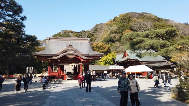 鎌倉 鶴岡八幡宮 鎌倉 鶴岡八幡宮