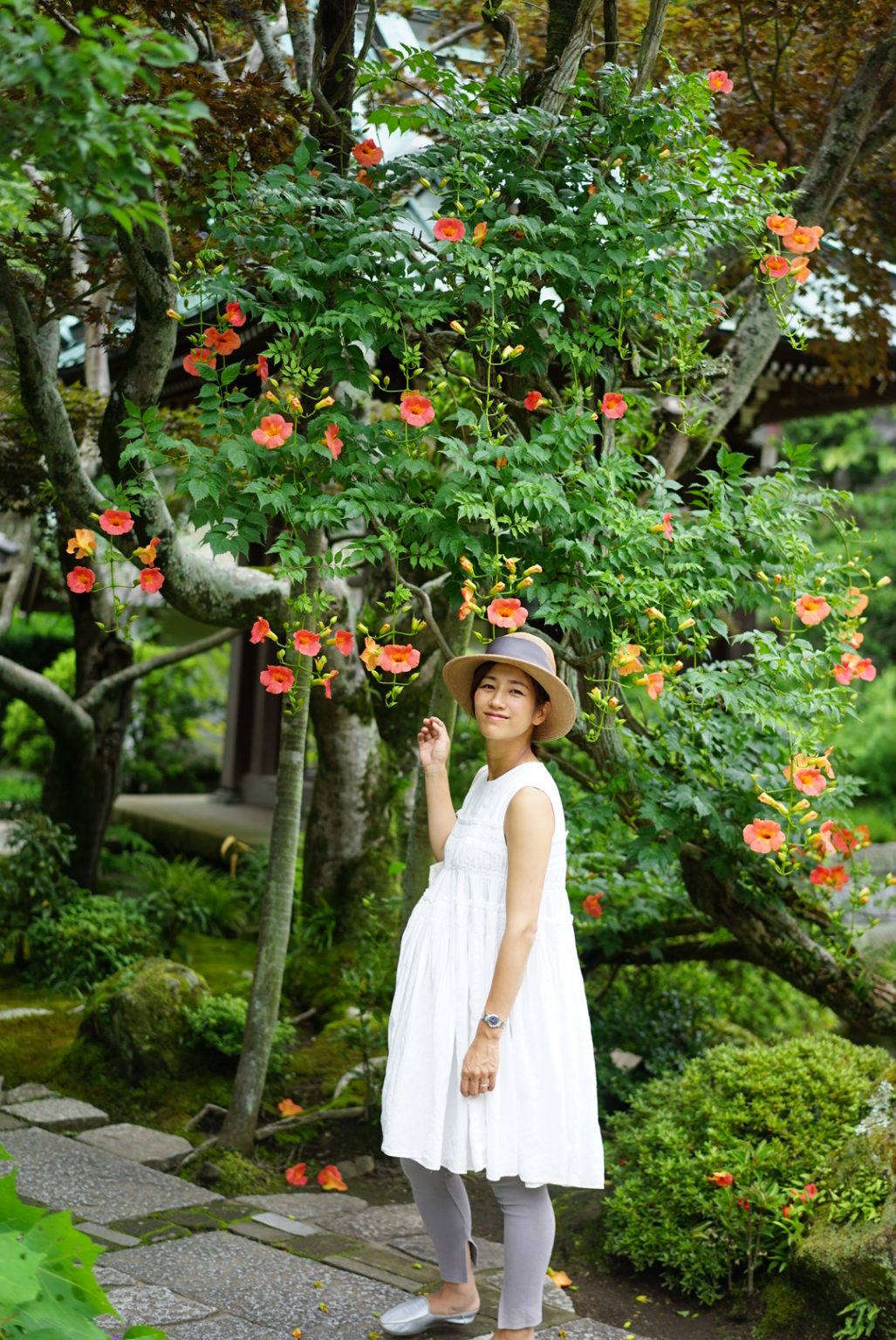 鎌倉の花の寺〈海蔵寺〉の夏