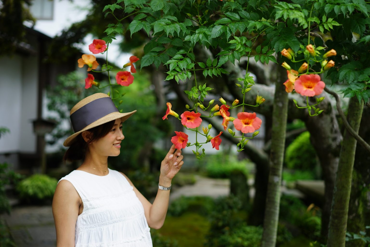 鎌倉の花の寺〈海蔵寺〉の夏