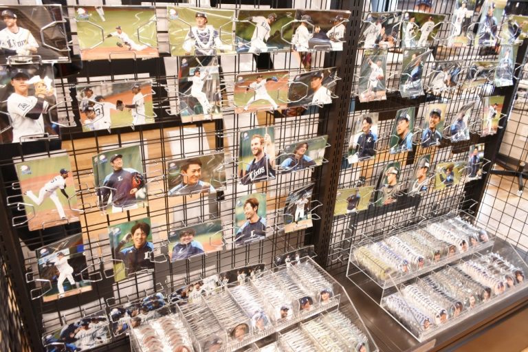 お目当ての選手の写真はあるかな?? 所沢〈メットライフドーム〉
