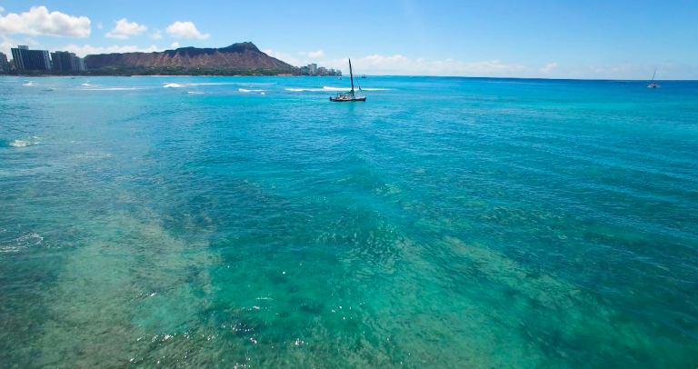 ハワイ WAIKIKI BEACH SOCIAL CLUB ハワイ WAIKIKI BEACH SOCIAL CLUB