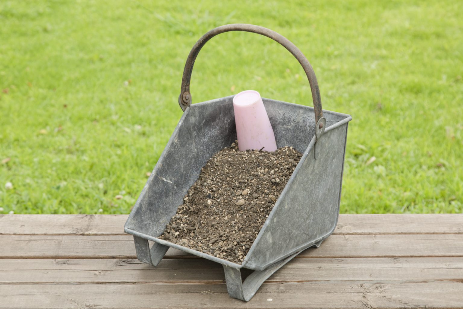 培養土と赤玉土を混ぜて使う。