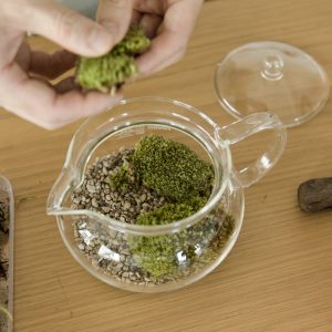 初心者でも簡単 テラリウム の作り方 苔が創り出す小さな世界に思わず夢中に Lifestyle Hanako Tokyo