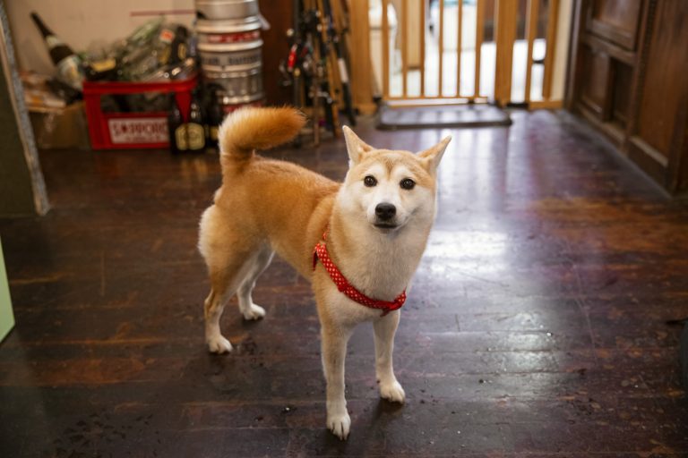 釣りにハマる女子が急増中 道具がなくても大丈夫 釣りビギナーにおすすめ屋内型釣り堀 Lifestyle Hanako Tokyo