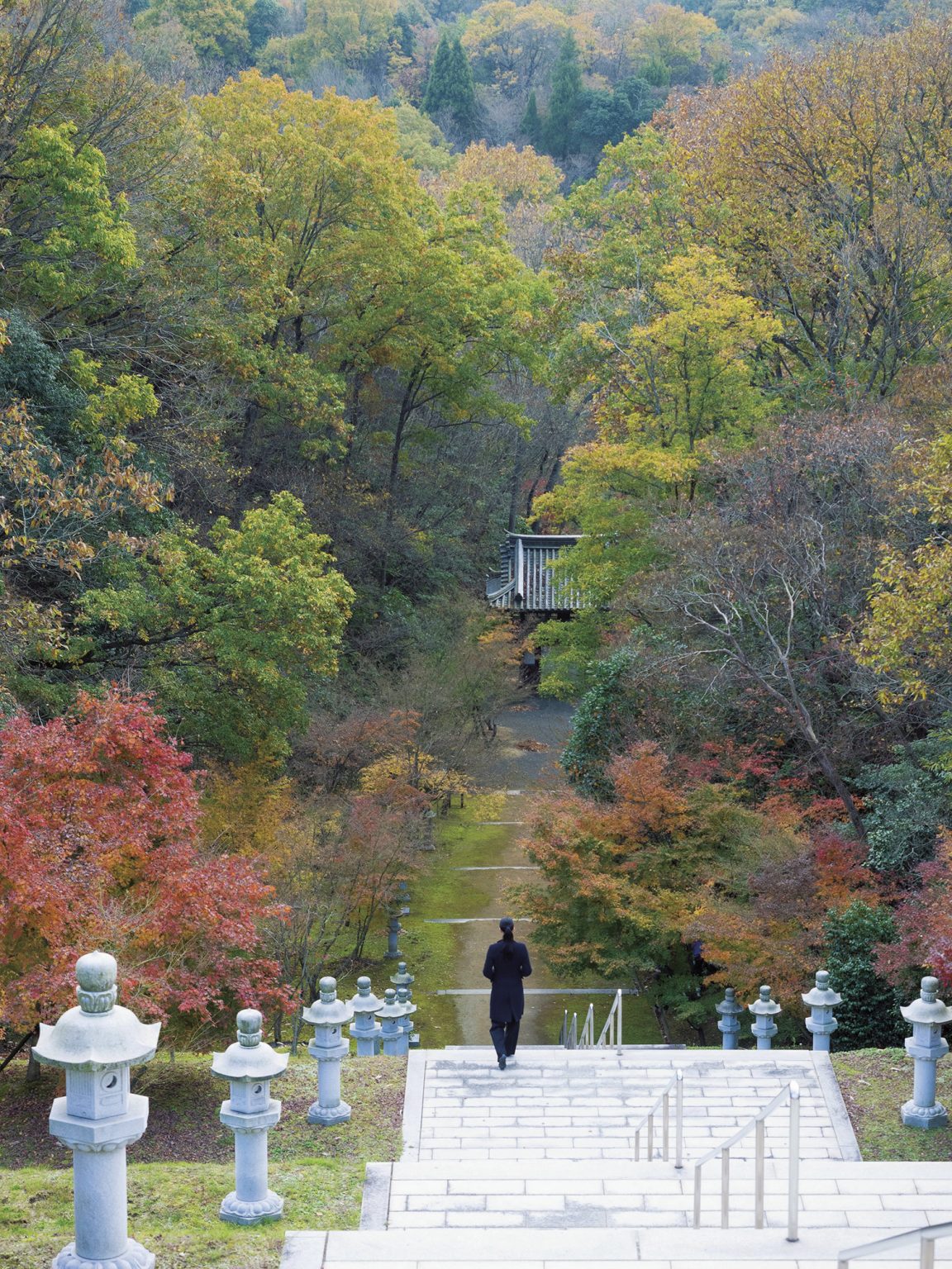 荘厳堂に行く途中にある長い階段。広大な敷地に広がる、四季それぞれに趣を変える日本庭園や建築散策も、ここにしかない体験。