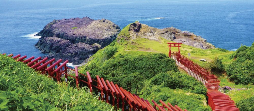 見に行く価値あり!【全国】“ディテール”に目を奪われる注目の寺社5選