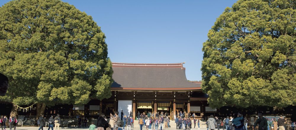 東京随一のパワースポット 明治神宮 の魅力 どこまで知ってる 都会のオアシス の魅力をご紹介 Lifestyle Hanako Tokyo