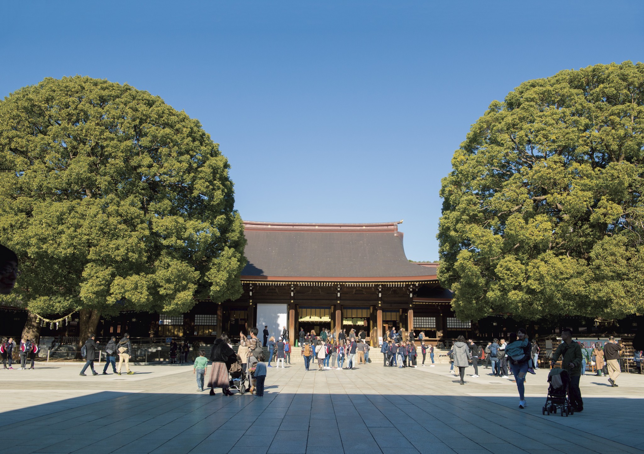 東京随一のパワースポット〈明治神宮〉の魅力、どこまで知ってる？“都会のオアシス”の魅力をご紹介。 | Hanako Web