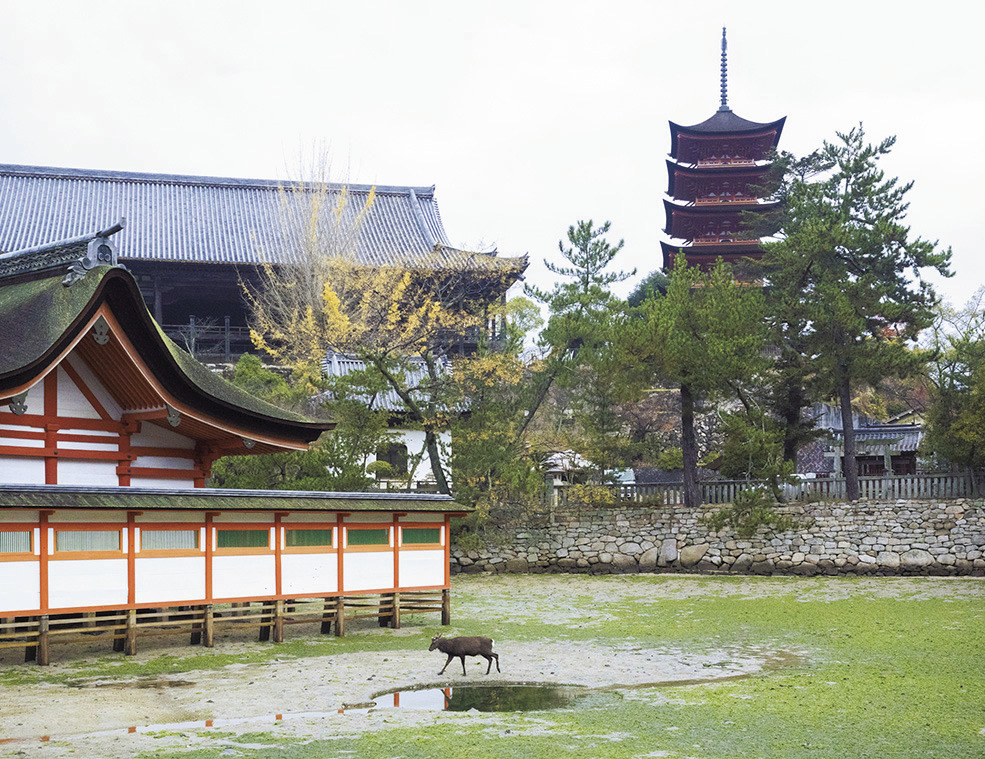 引き潮のときだけ姿を見せる客神社脇の鏡の池。宮島八景のひとつ。