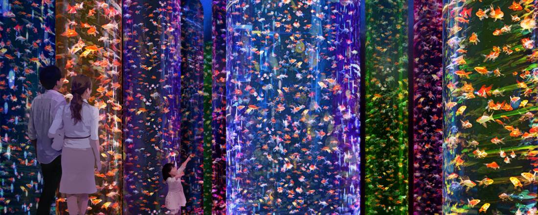 東京 日本橋に3万匹もの金魚が幻想的な空間で泳ぐ アートアクアリウム美術館 がニューオープン Report Hanako Tokyo