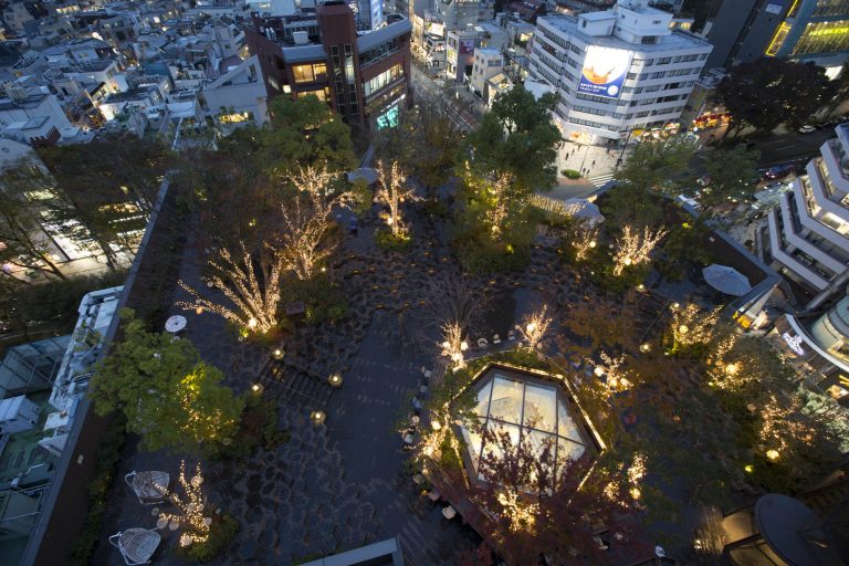 表参道 おもはらの森 表参道 おもはらの森