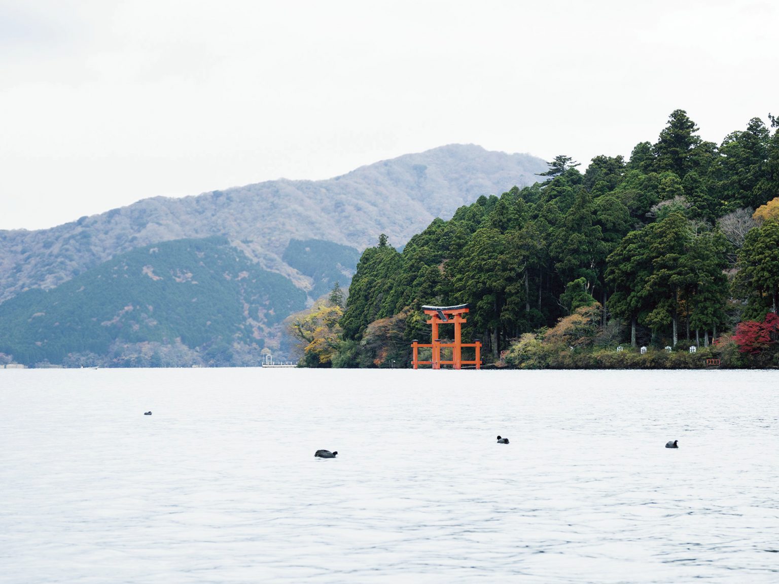芦ノ湖畔から鳥居を望む。冬季以外、天気のいい日はボートで近づける。