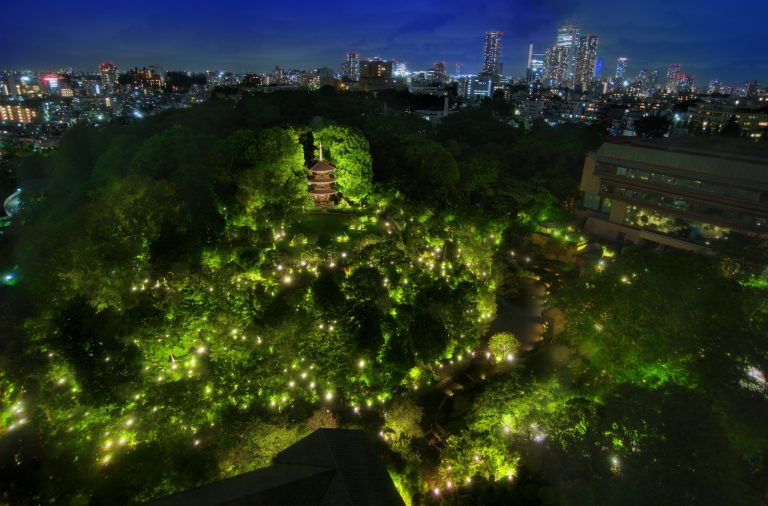 庭園のライトアップがリニューアルした「千の光のライトアップ」。 ホテル椿山荘東京雲海20