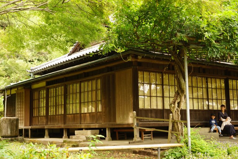 前田有紀の『週末・気分転〈花〉』