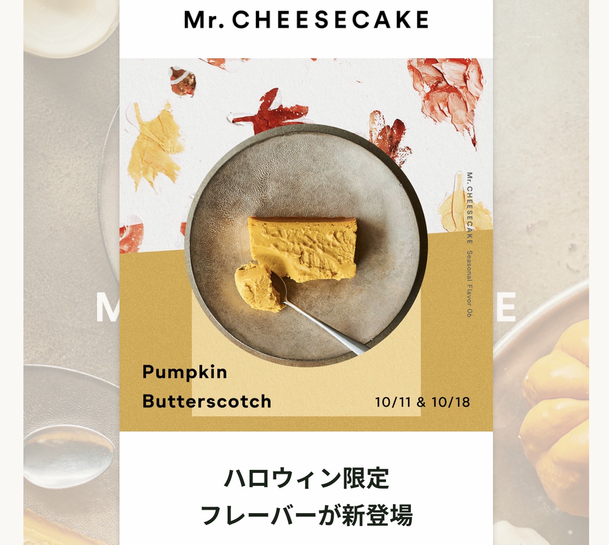 Mr. CHEESECAKE ハロウィン Pumpkin Butterscotch