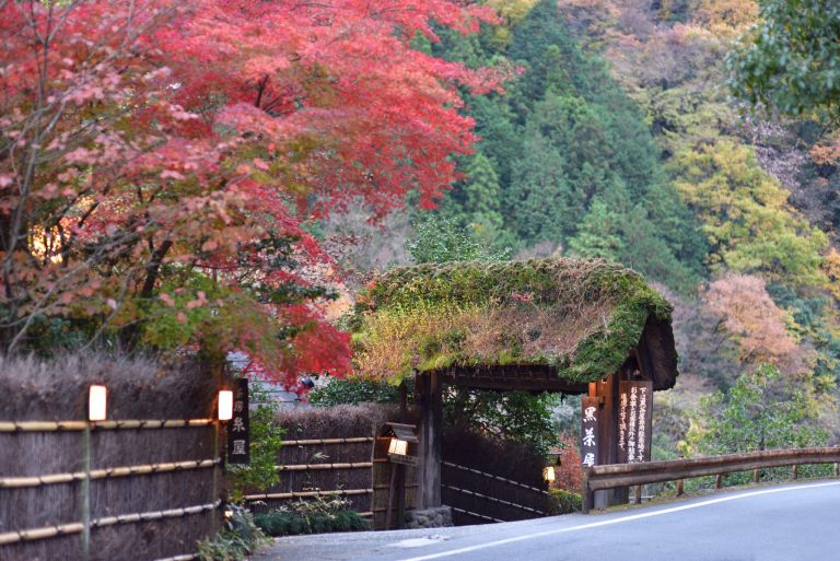 川のせせらぎと美しい紅葉 多摩の自然を身近に感じる あきる野市 秋川渓谷 サイクリング旅へ Travel Hanako Tokyo