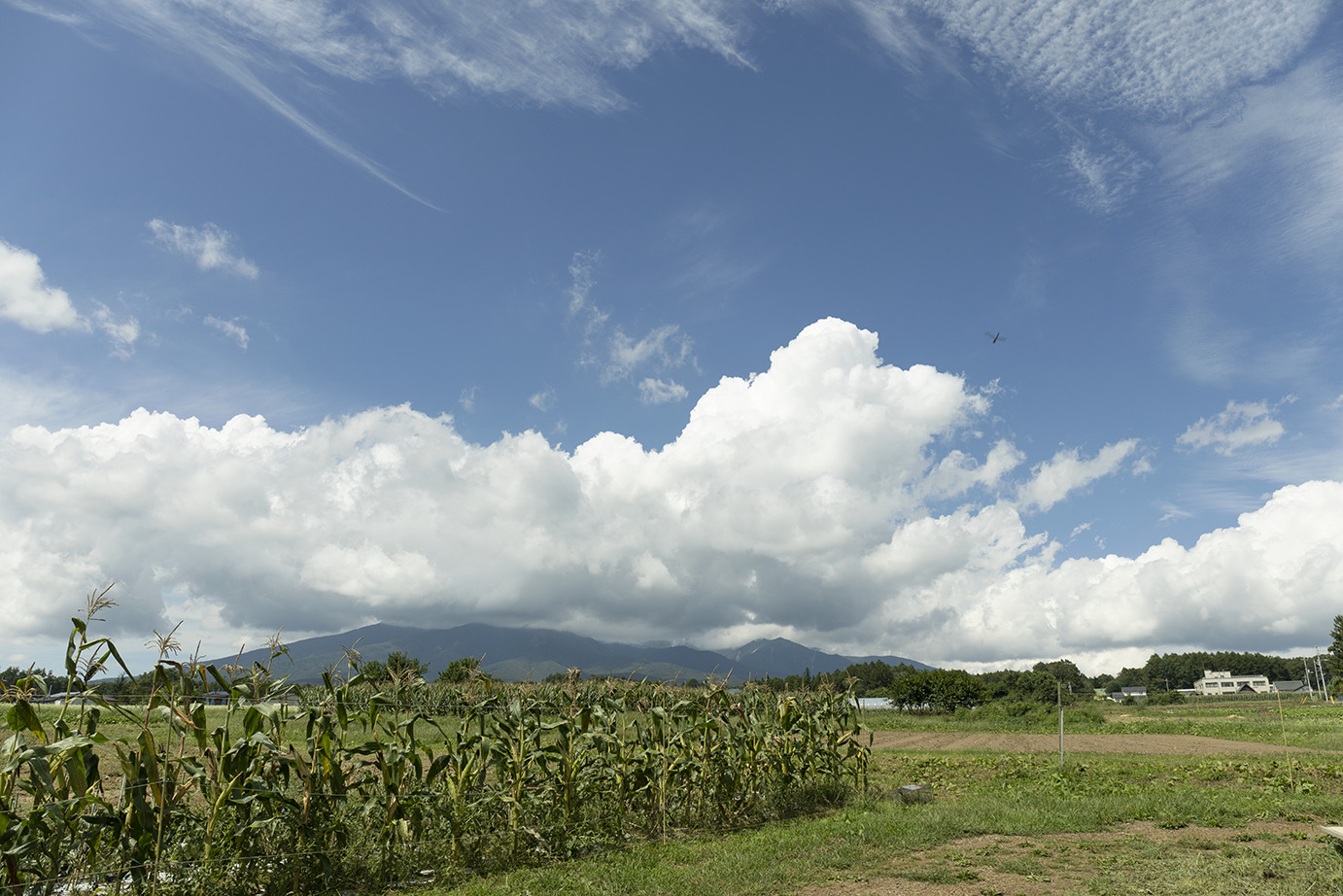 日照時間が日本一といわれる農耕地帯が広がる。