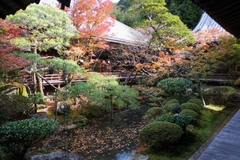 京都　禅林寺