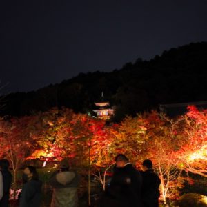 京都　禅林寺