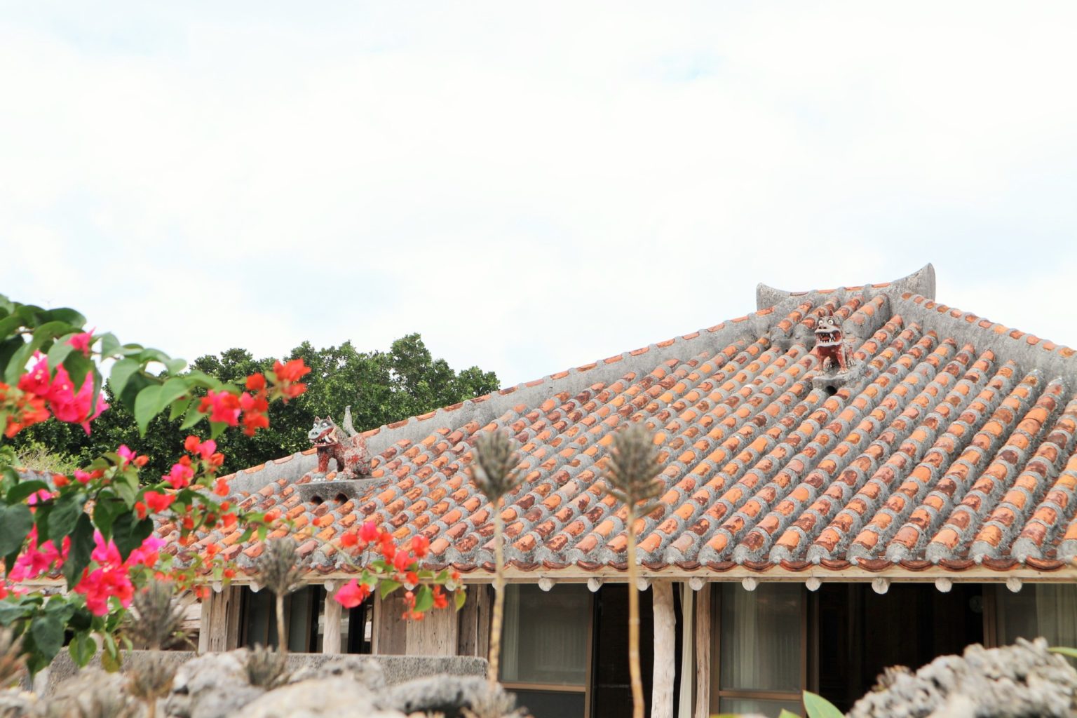 民家の屋根には個性豊かな“シーサー”が。