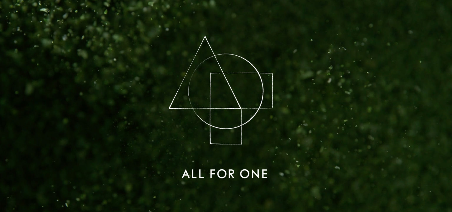 〈ALL FOR ONE〉　京都　宇治　〈山政小山園〉