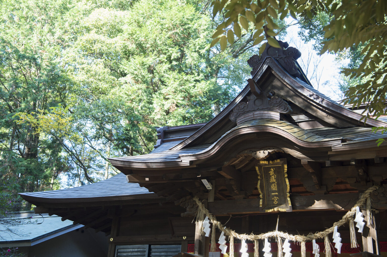 一の宮はひとつの国に2カ所あることも。氷川神社とは別の氷川女體神社（ひかわにょたいじんじゃ）もそれにあたる。本殿の額には「武蔵一宮」とある。
