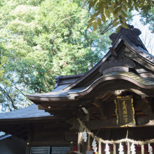 一の宮はひとつの国に2カ所あることも。氷川神社とは別の氷川女體神社（ひかわにょたいじんじゃ）もそれにあたる。本殿の額には「武蔵一宮」とある。