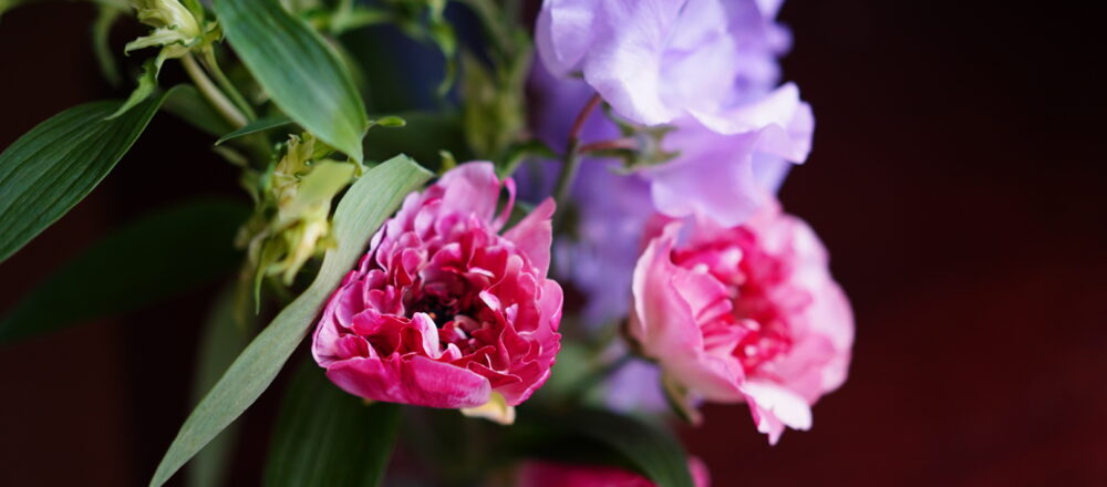 リモートワークに花を飾って。フラワーアーティスト・前田有紀さんがおすすめする”春の花”。