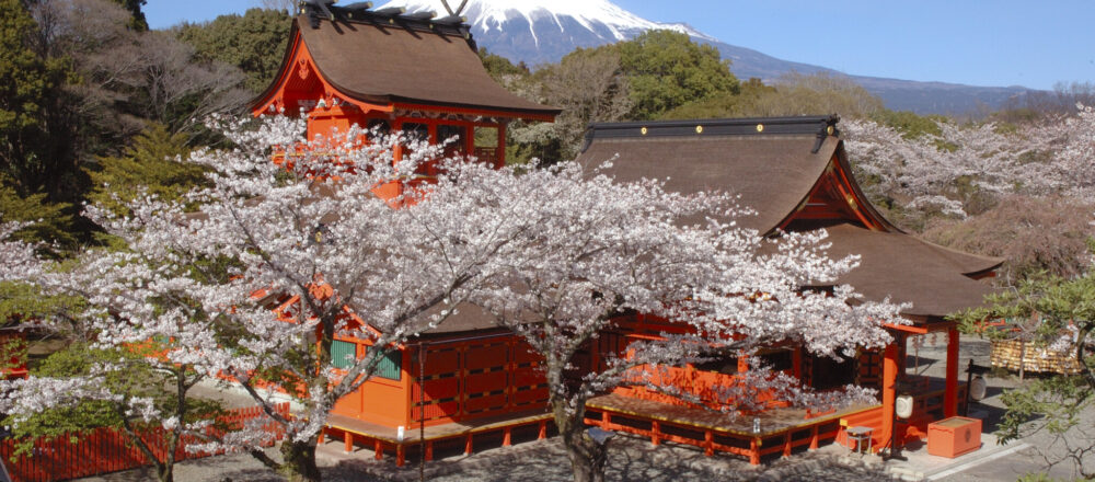 2021年に行くべき「一の宮神社」ガイド【東海道編】。スピリチュアルアーキテクト・暁玲華さんがセレクト!